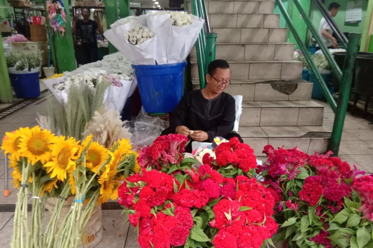 Di Pasar Bunga Rawa Belong bunga matahari paling diminati