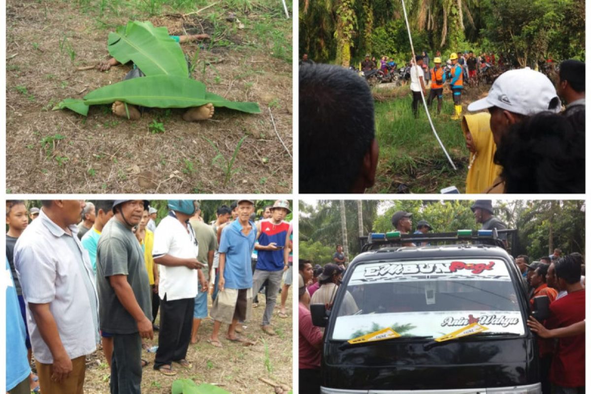 Seorang warga Langkat tewas tersengat listrik tegangan tinggi