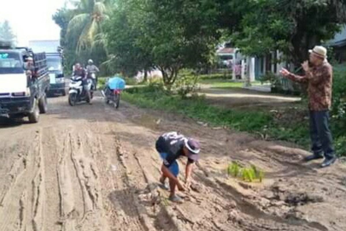 Protes jalan rusak, ratusan warga lima desa di Simalungun tanam padi di badan jalan