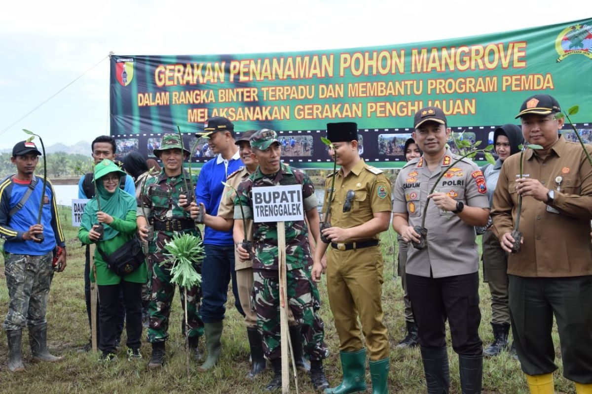 5.000 bibit mangrove ditanam di Pantai Panggul Trenggalek