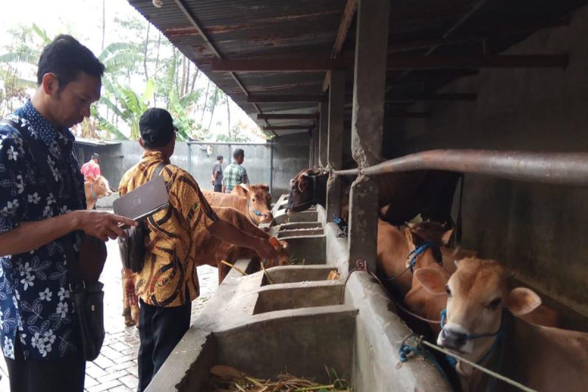 Mengembangkan karakter pegawai Polbangtan YoMa dengan membuat biogas