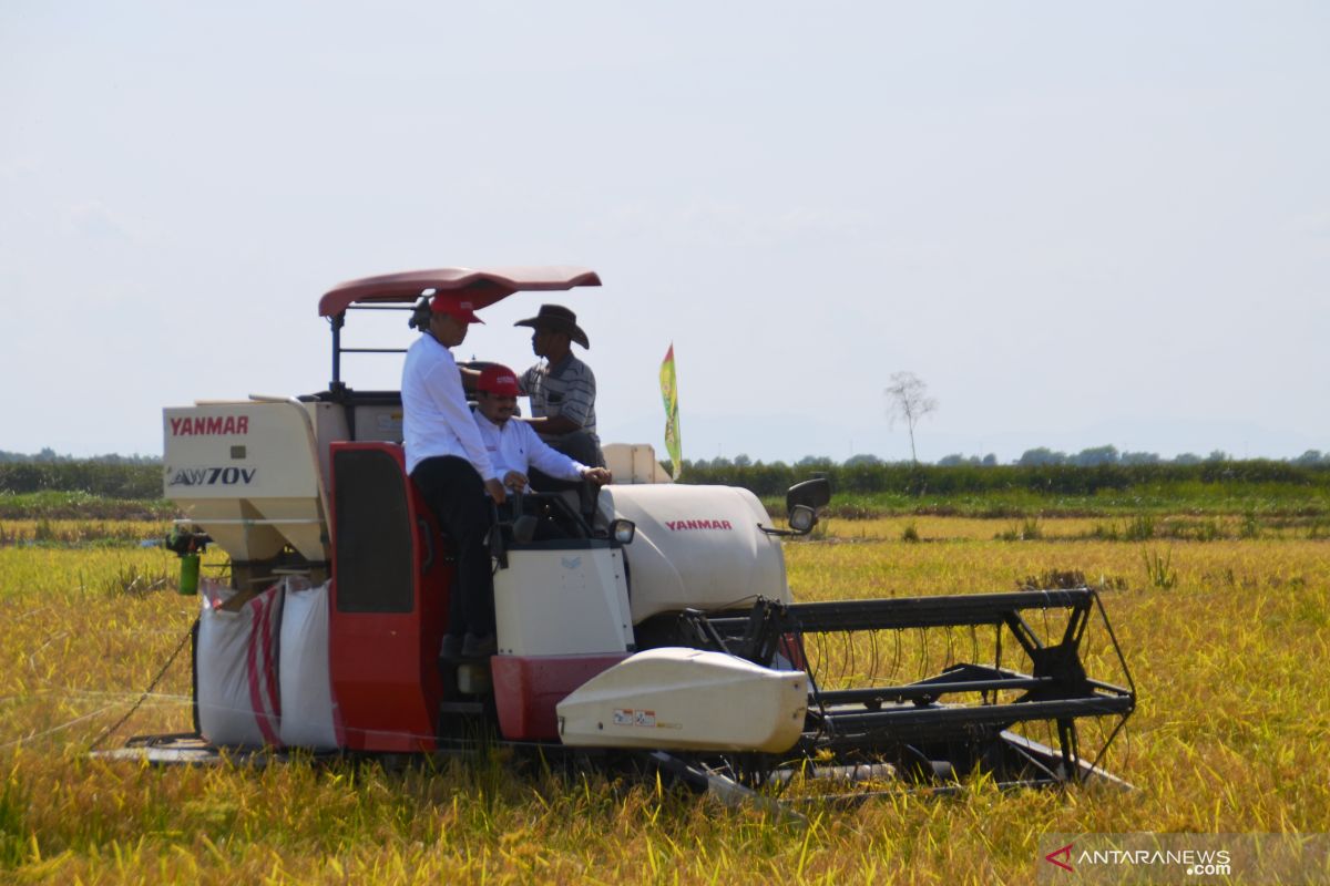 Petani Jejangkit panen bersama Dirjen dan Balitbangtan Kementan