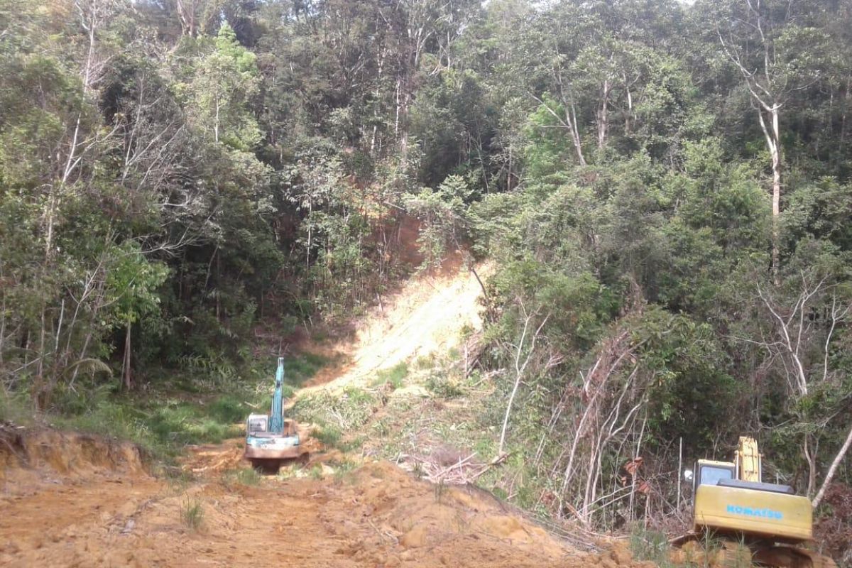 Perusahaan tambang diduga lakukan pembabatan hutan di Kabupaten Sanggau