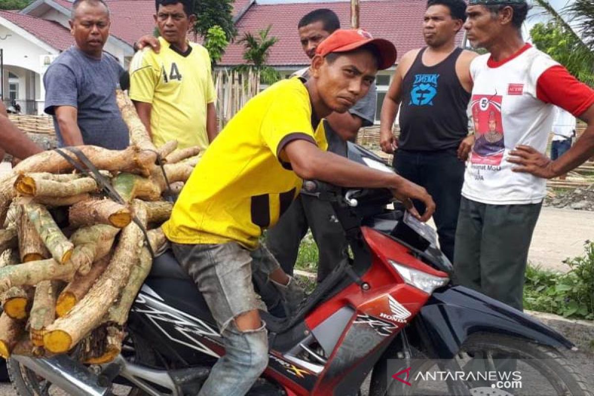 Berkhasiat untuk kesehatan, akar kuning dari hutan Bener Meriah mulai diburu