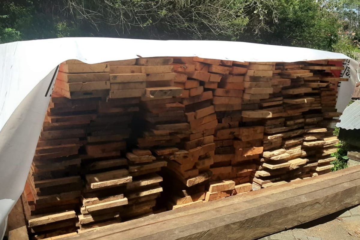 Kayu ilegal logging diamankan di Minahasa Tenggara