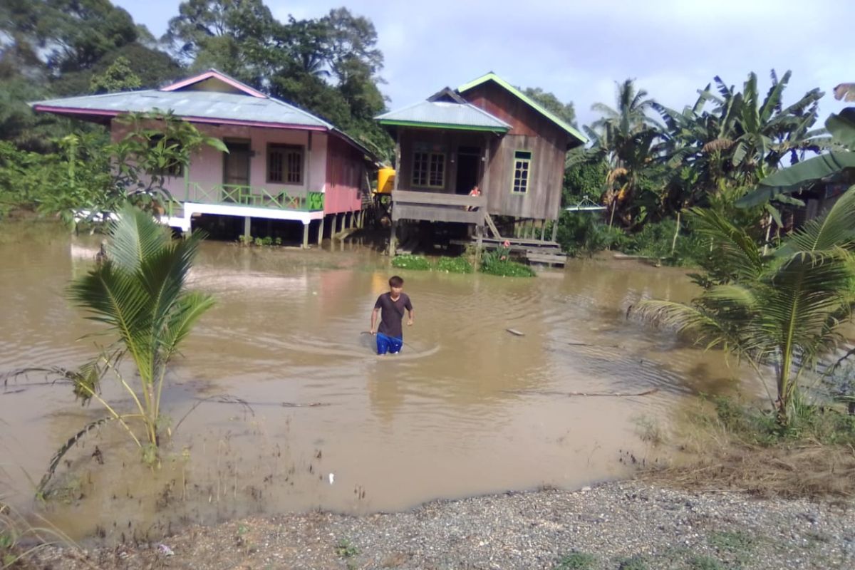 Perbaiki resapan air, Pemkab Nunukan tanami pohon di hulu embung