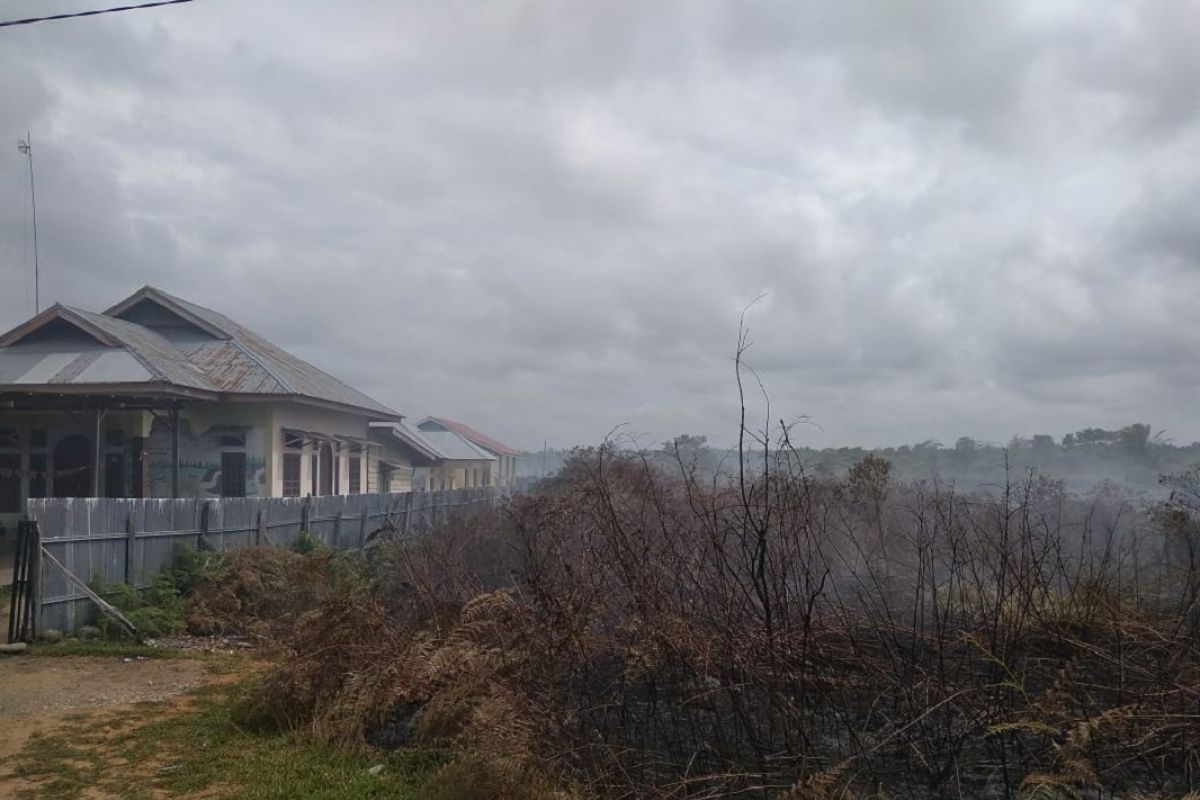Kebakaran lahan gambut di Mukomuko diduga disengaja