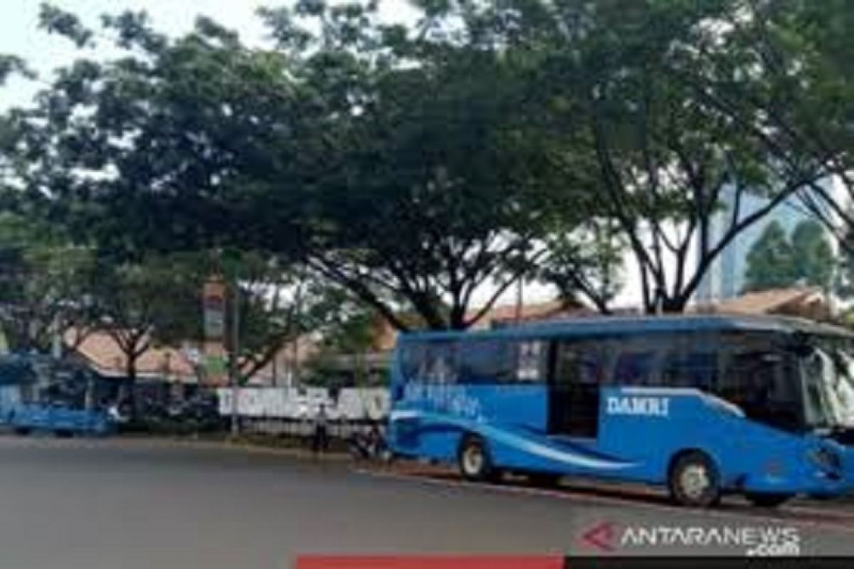 Damri luncurkan aplikasi pembelian tiket bus