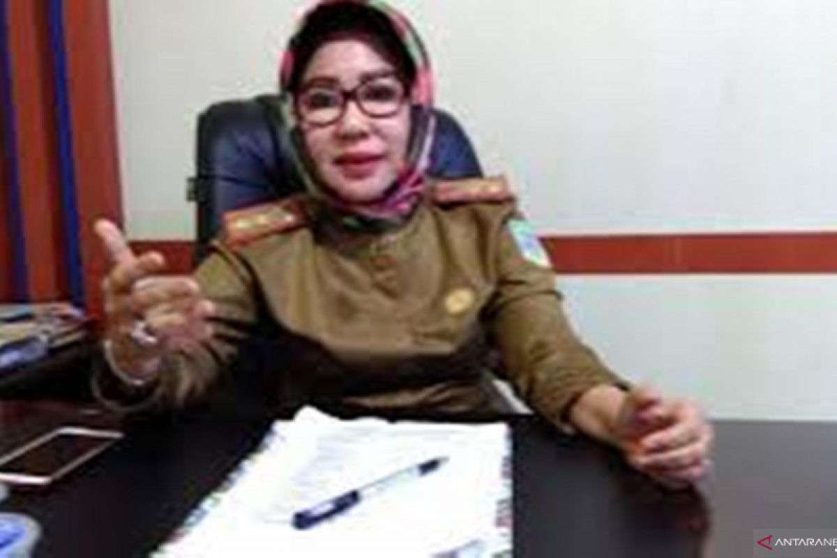 Kota Jambi segera luncurkan aplikasi pelaporan ibu hamil