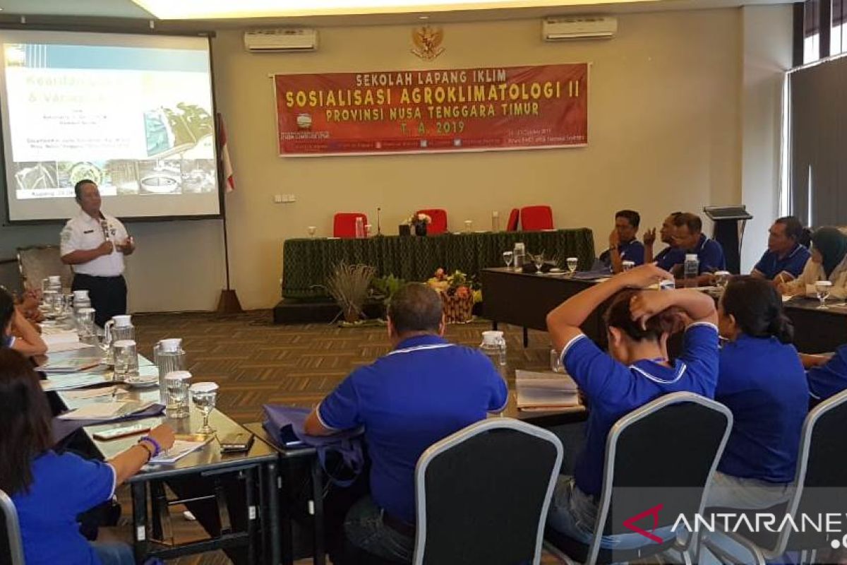 Sebagian wilayah barat Pulau Flores memasuki musim hujan