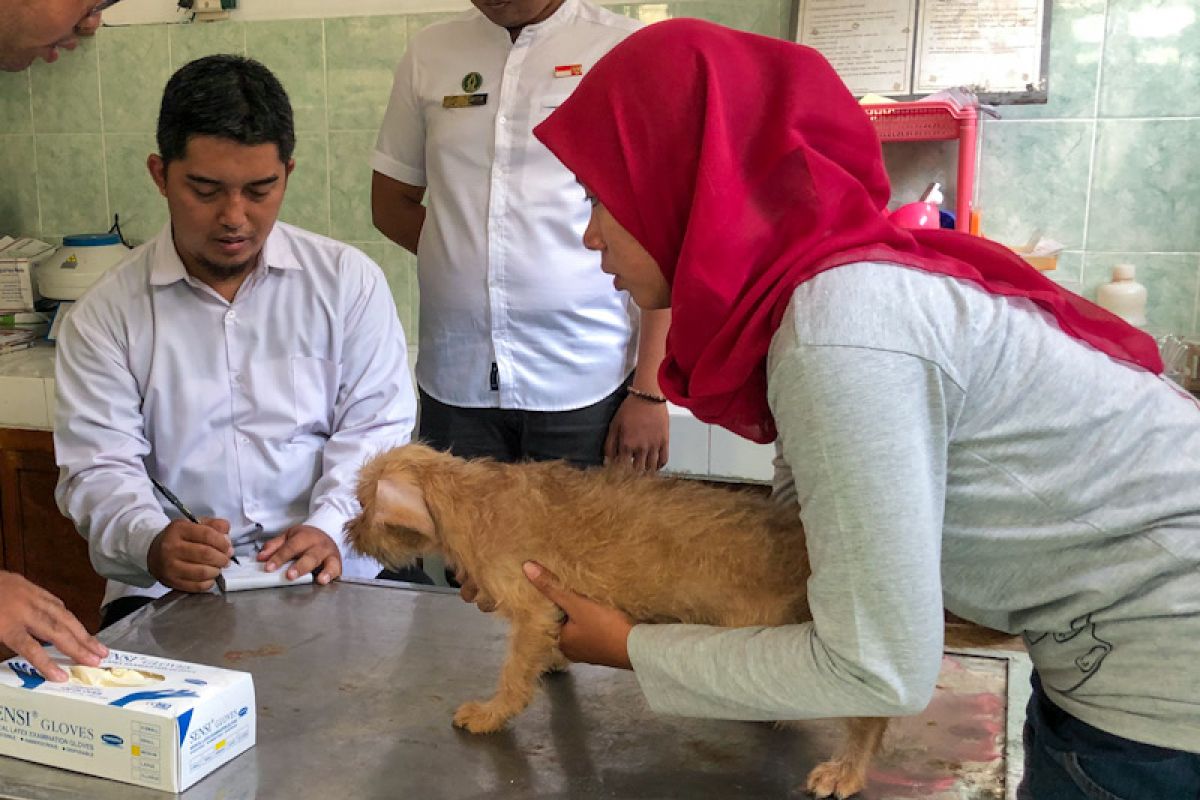 Penanganan rabies dipusatkan di Rumah Sakit Pratama dan Puskesmas Jetis