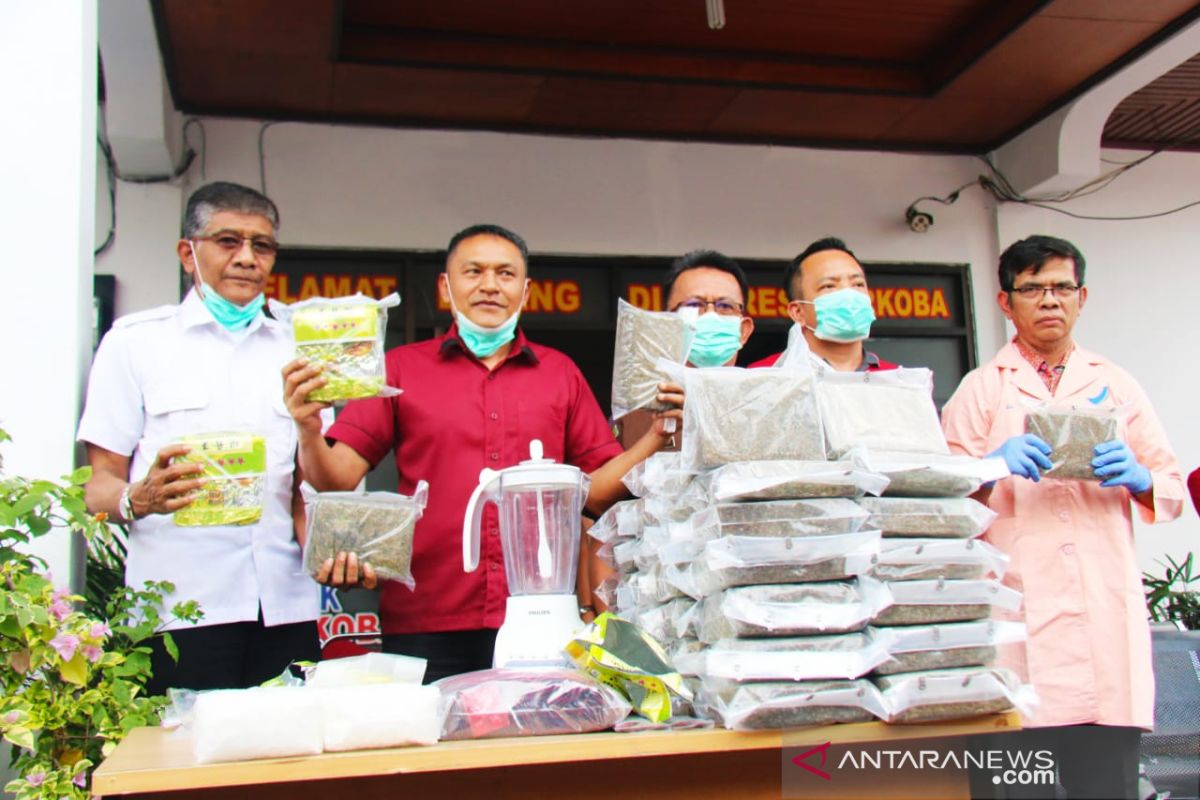 Polda Riau musnahkan 65 kg ganja asal Aceh