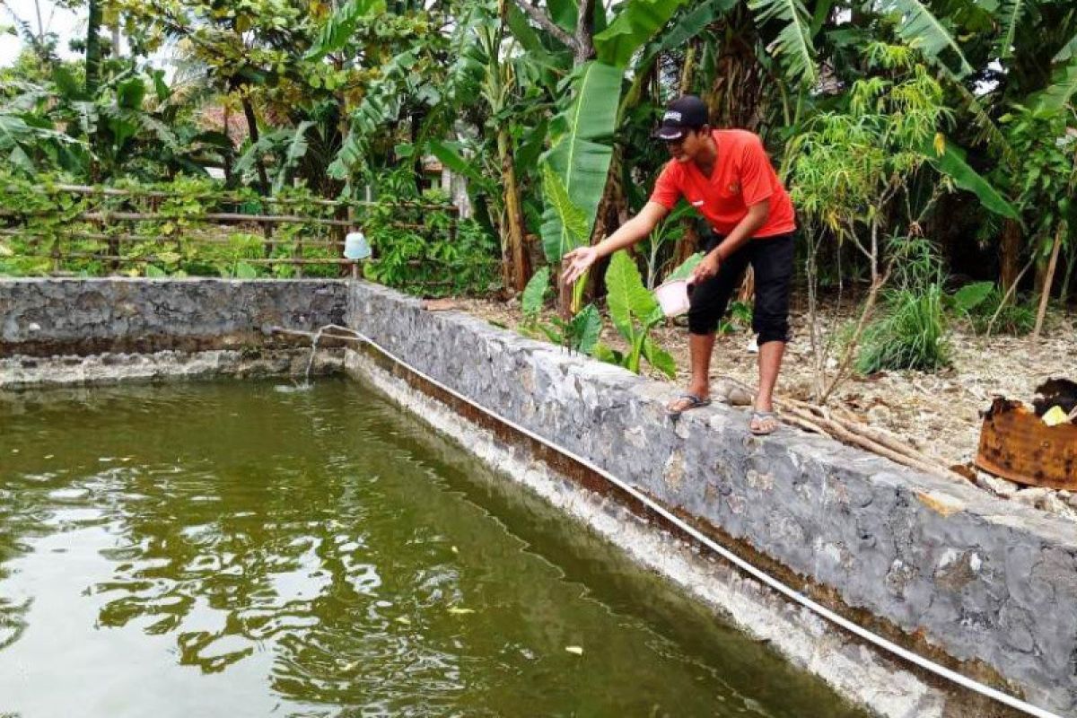 Kelompok budidaya ikan Cilibang terima bantuan bibit Gurami