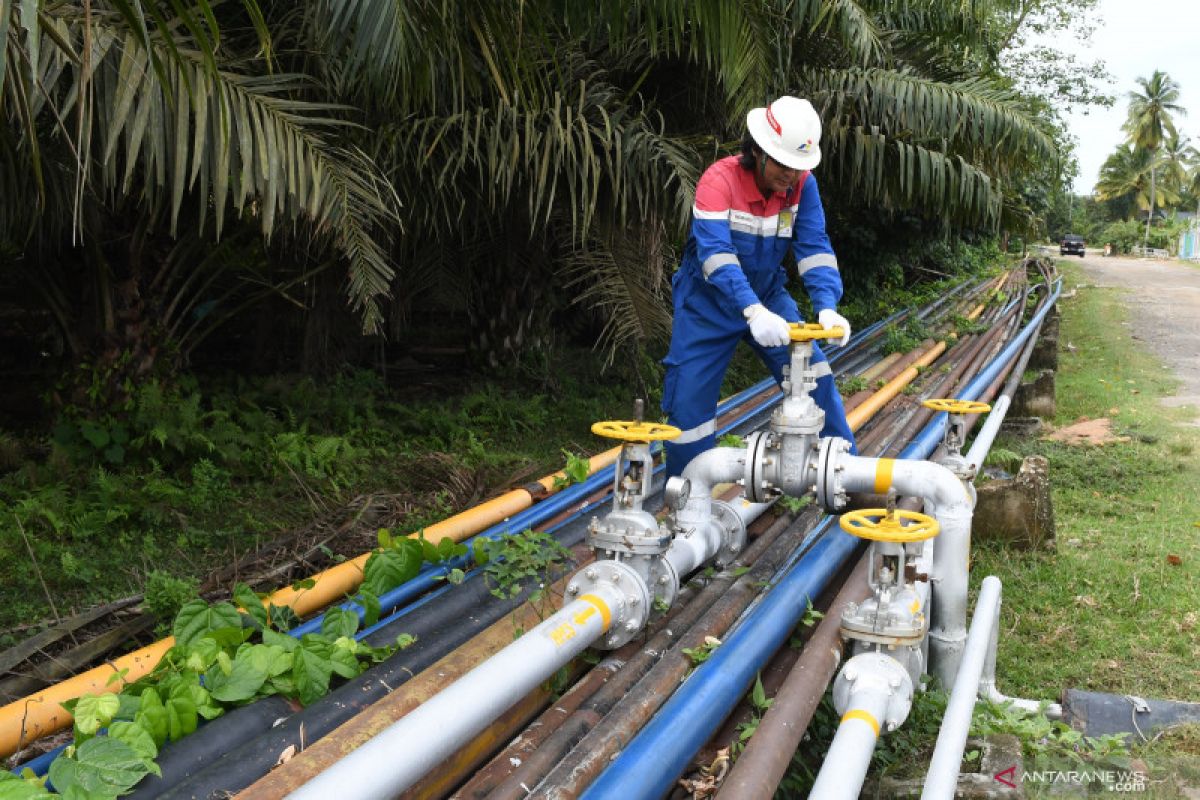 Kadin requests government to build gas pipeline in Trans-Kalimantan