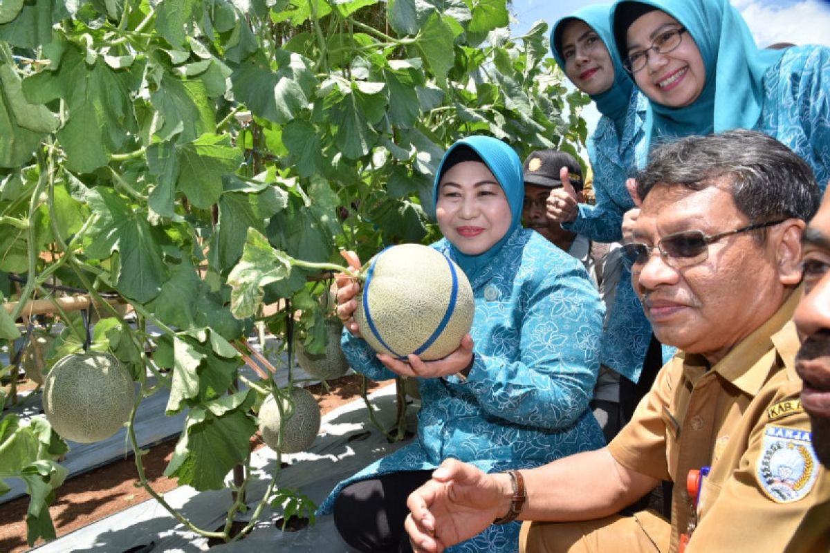 PKK komitmen dukung pengembangan agrowisata