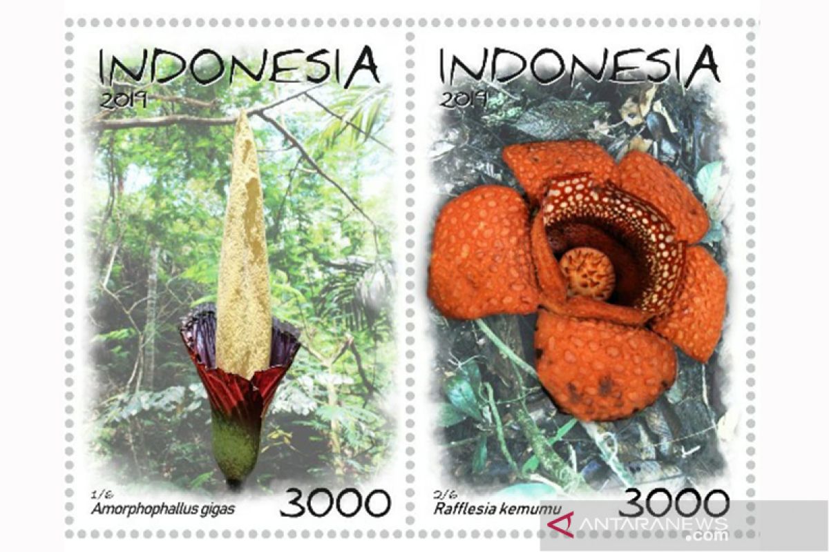 Dua bunga langka Bengkulu jadi prangko nasional 2019