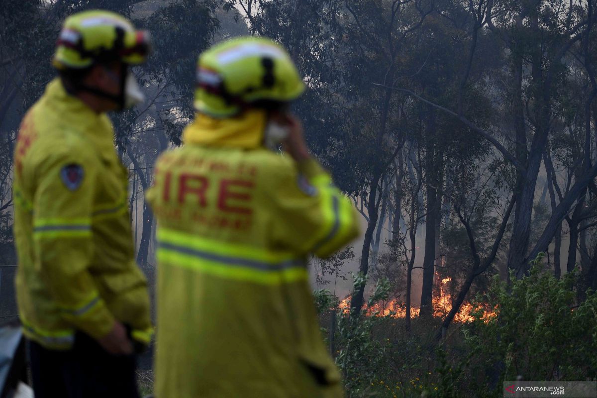 Petugas pemadam Australia berjuang hadapi kebakaran