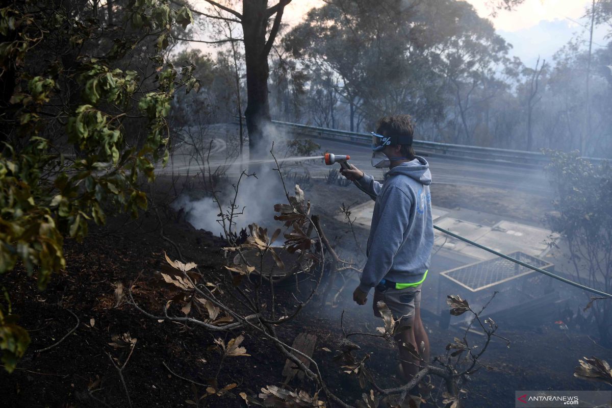 Dua tewas dan 100 rumah hancur akibat kebakaran hutan di Australia