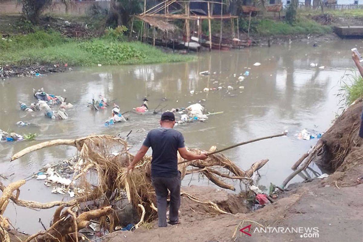 Medan warns its residents after hundreds of pig carcasses found on Bederah River