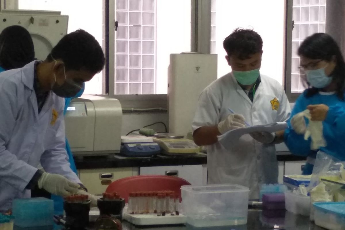 Uji laboratorium, ribuan babi mati di Sumut juga terindikasi ASF