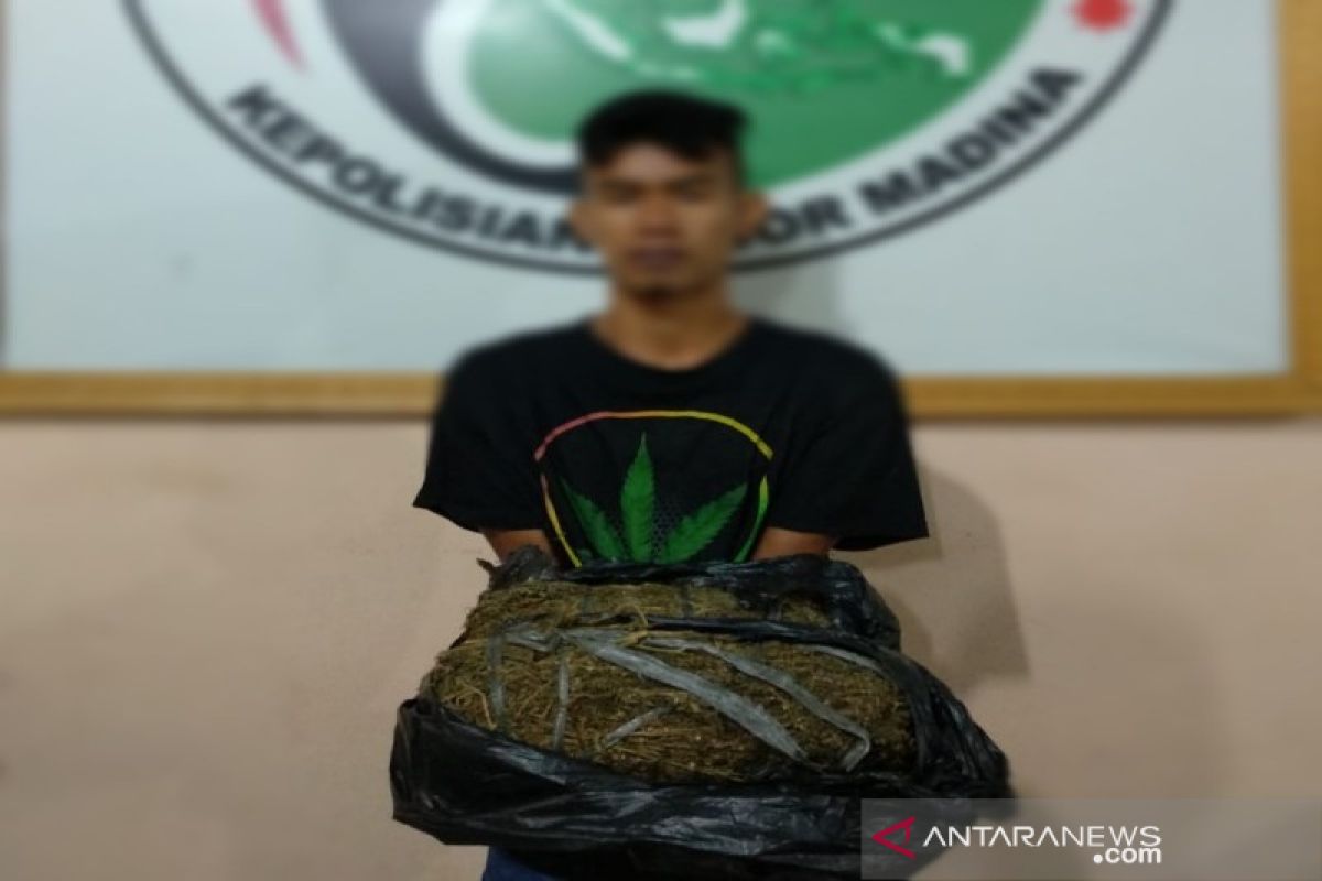 Polres Madina kembali amankan pembawa dua bal ganja