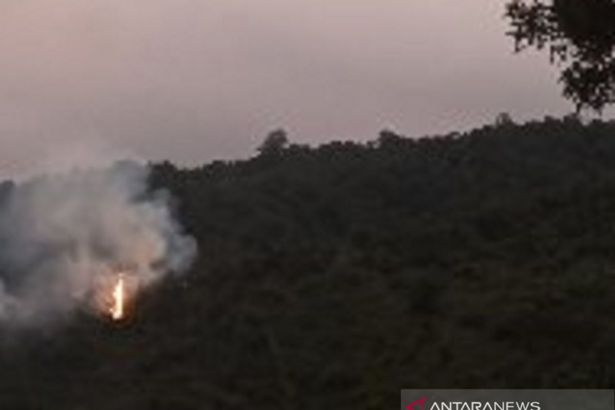 Kebakaran landa tiga hektare hutan lindung Gunung Salak Sukabumi