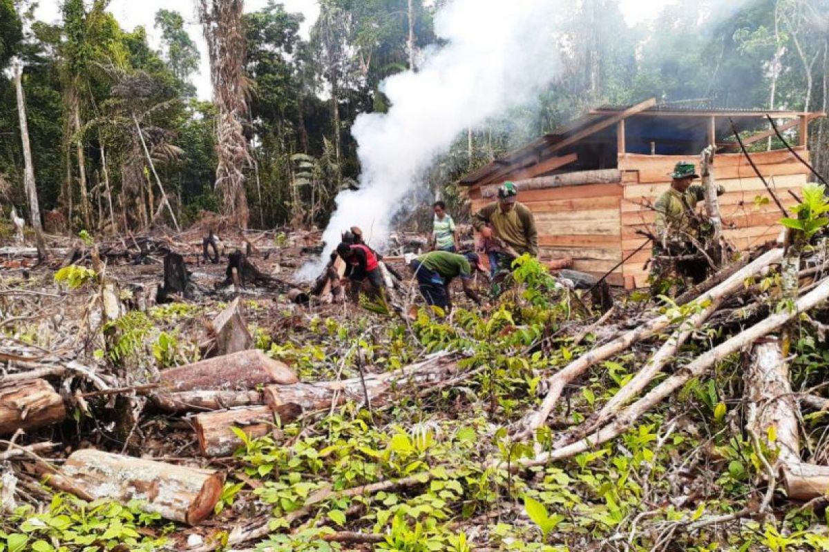 Untuk pembangunan gereja Pamtas, TNI bersama warga buka lahan