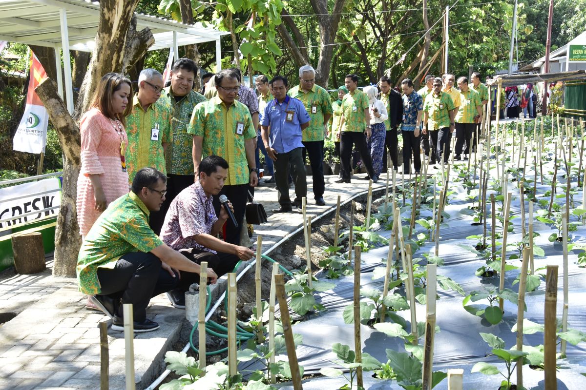 Manfaatkan air wudu masjid untuk budi daya sayur dan ikan