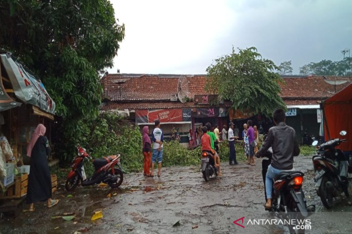 Angin kencang robohkan enam rumah di Batang