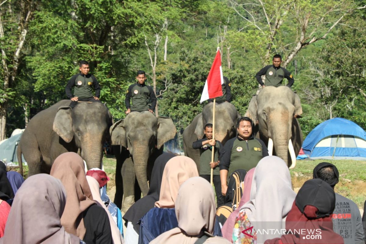 Gajah ikut peringatan hari pahlawan di CRU Sampoiniet  Aceh