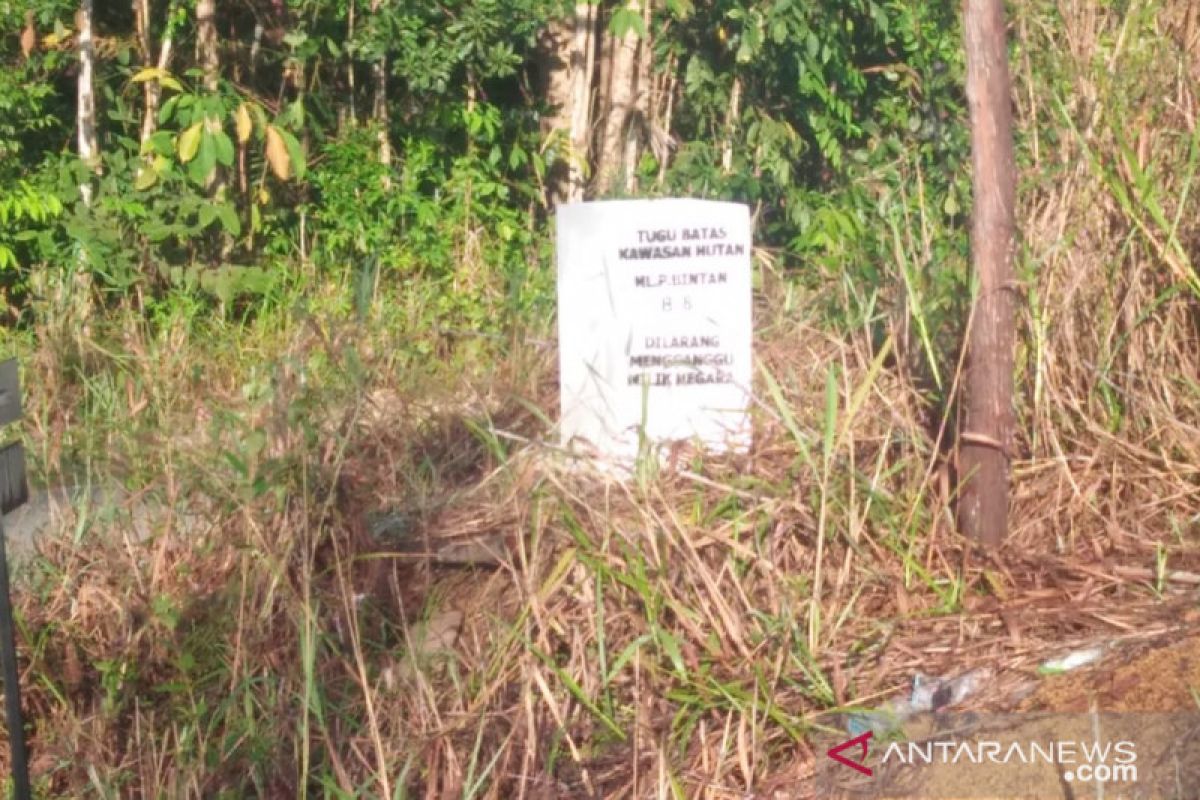 Ampera laporkan penetapan hutan lindung Bintan ke Presiden