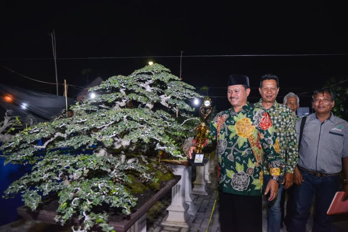 Pemkot Madiun fasilitasi Festival Bonsai 2019 peringati Hari Pahlawan