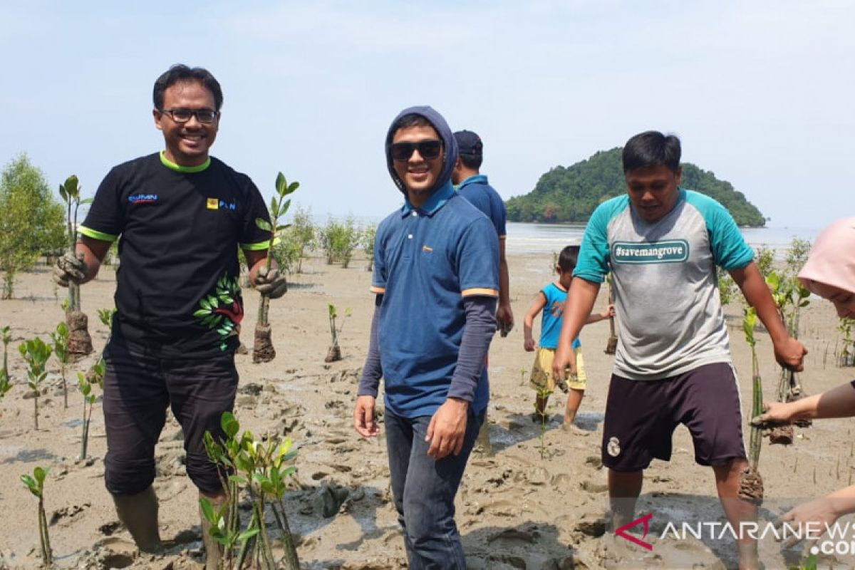 Ratusan mangrove di Mempawah ditanam bersama PLN-MMC jaga lingkungan