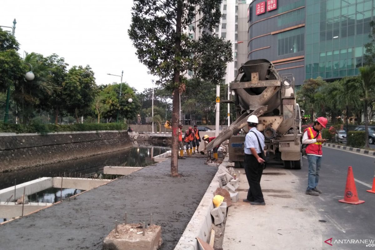 Pohon tabebuya dan pule akan hiasi trotoar Kantor Wali Kota Jakbar