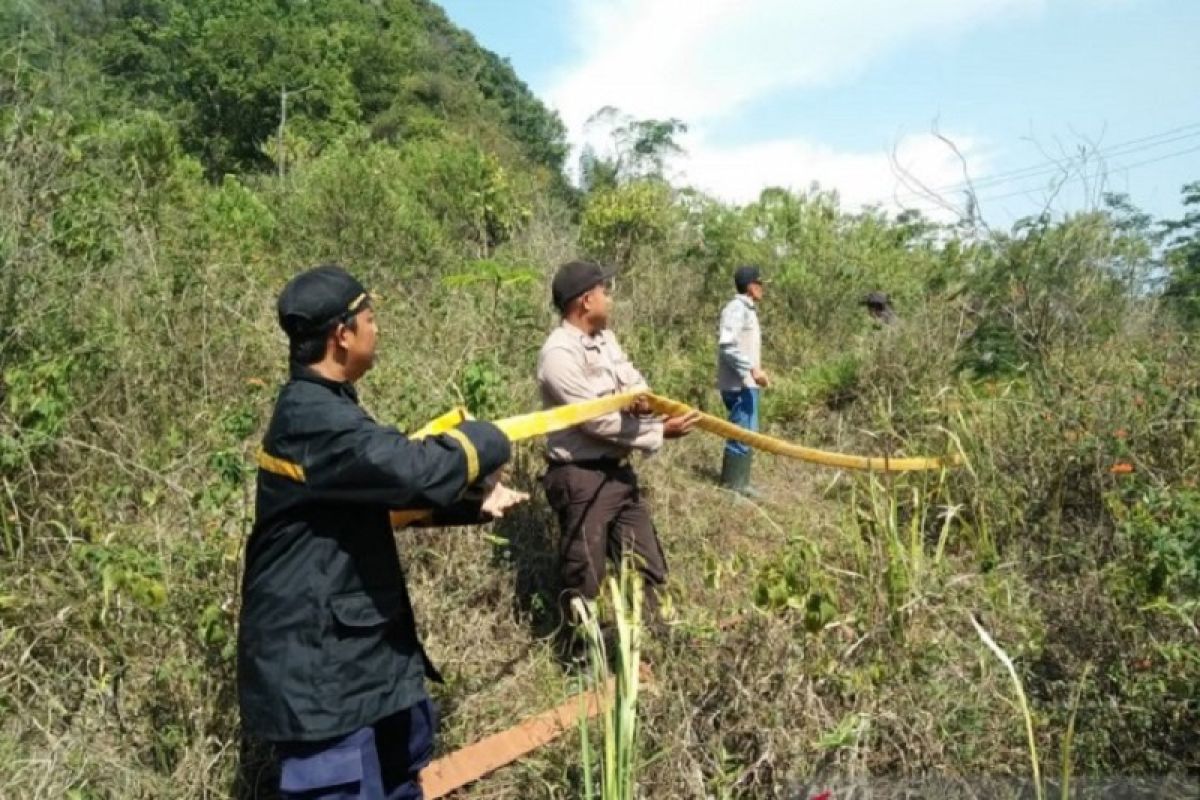 Diduga akibat puntung rokok sekitar delapan hektare hutan di Sukabumi terbakar