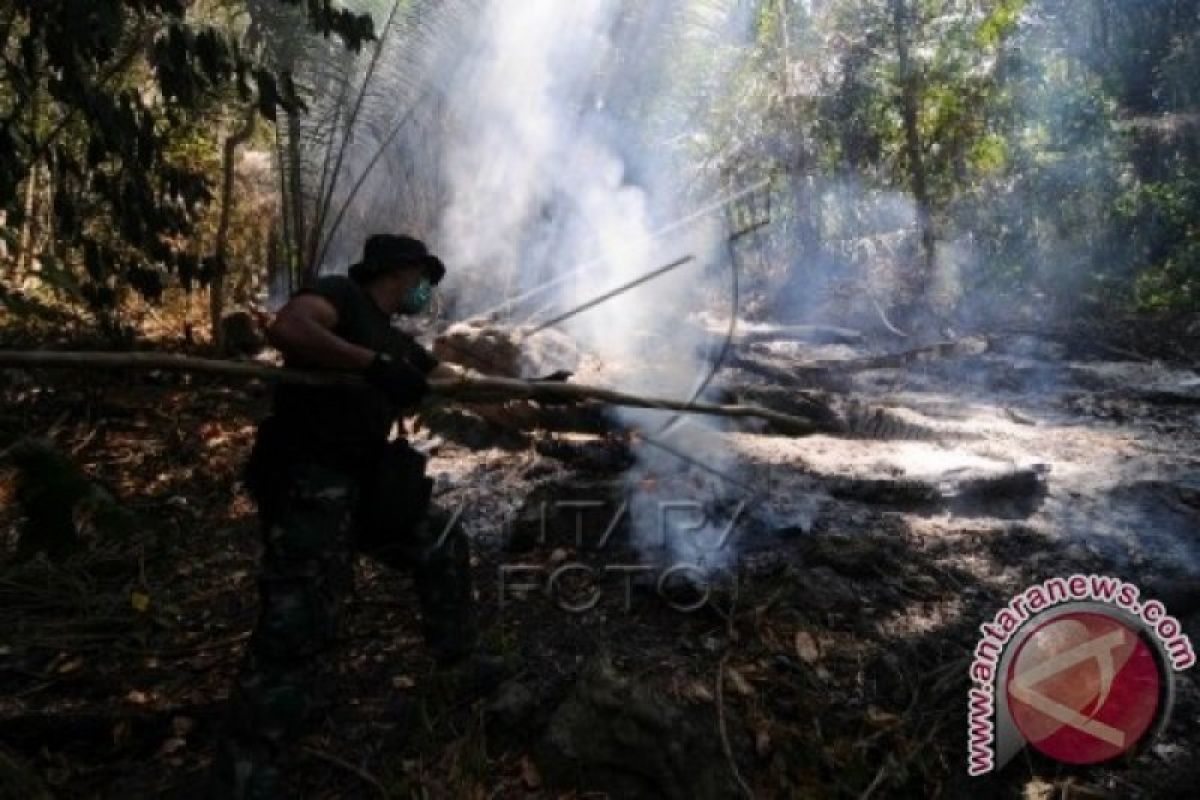 DPR nilai penanganan kebakaran hutan dan lahan di Indonesia masih kurang efektif