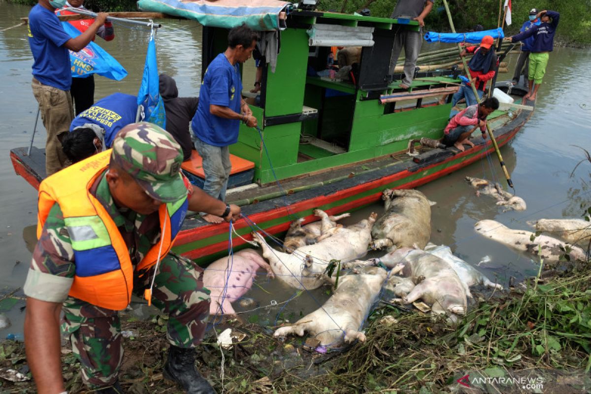 Dandim: Patroli dilakukan terkait keresahan warga banyaknya bangkai babi dibuang ke sungai