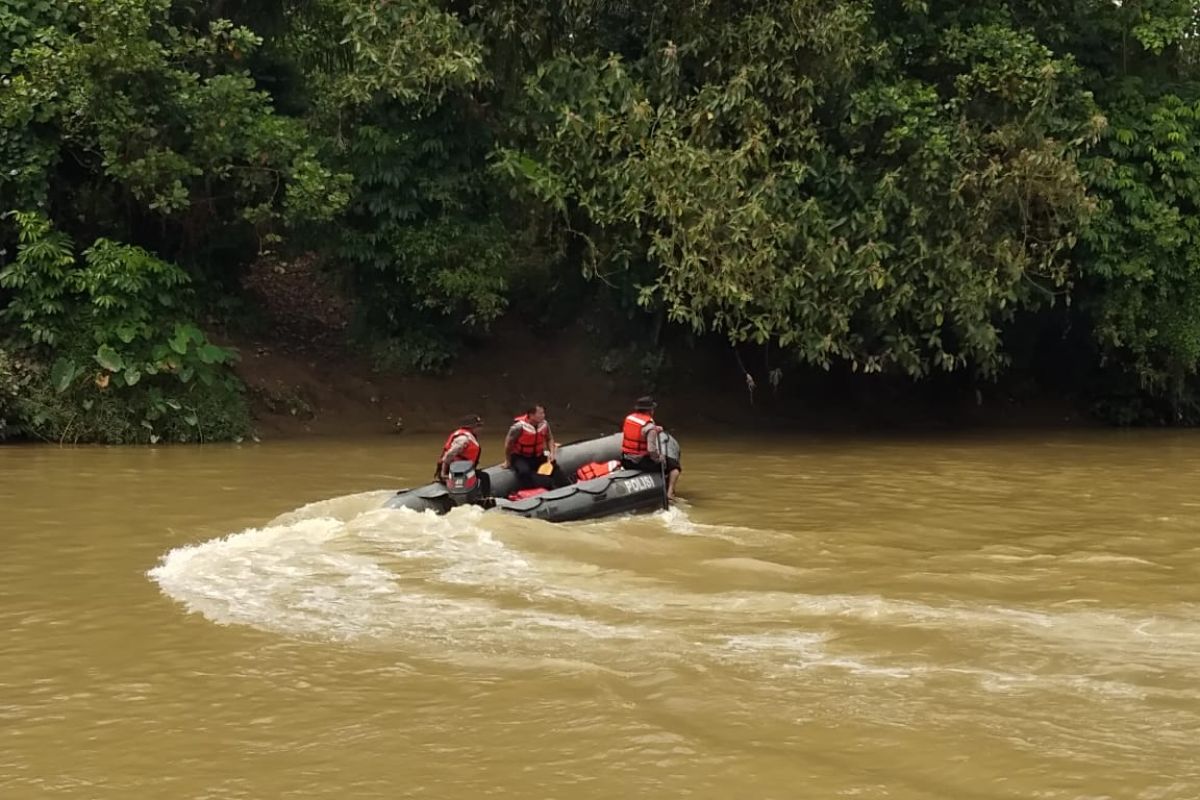 TNI-Polri sisir Sungai Belawan antisipasi pembuangan bangkai babi