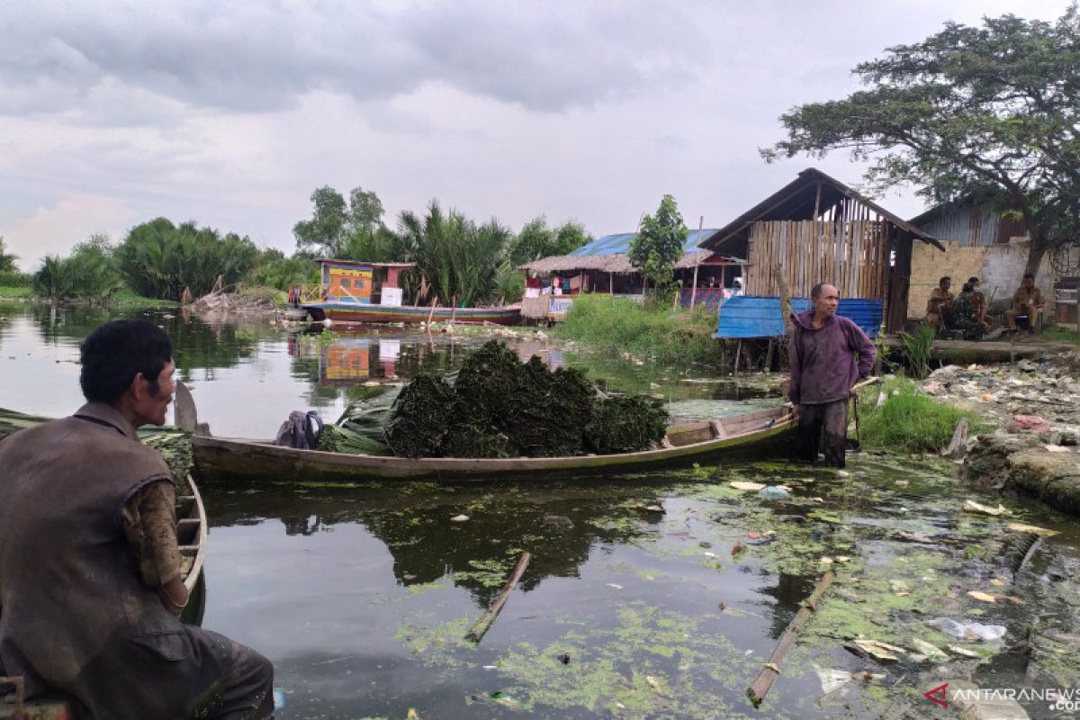 Akibat bangkai babi, penjualan ikan di Danau Siombak anjlok