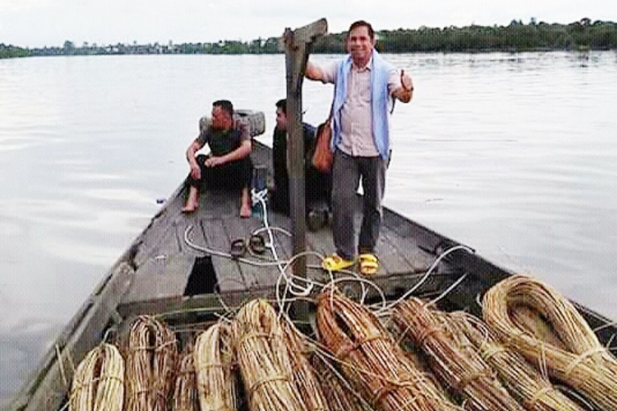 Legislator Kotim : Daerah penghasil rotan harus bersatu perjuangkan nasib petani