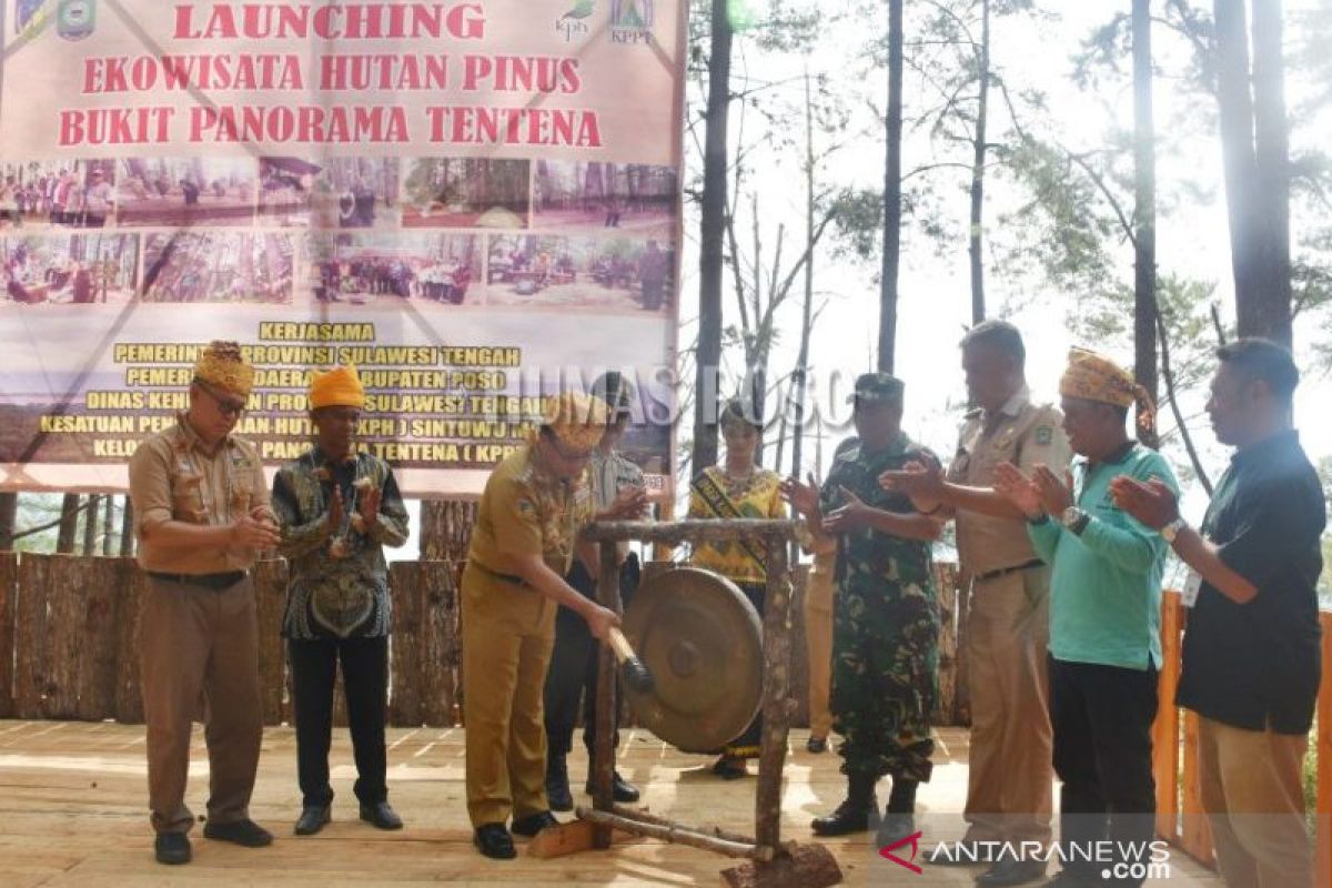 Pemkab Poso luncurkan ekowisata hutan pinus