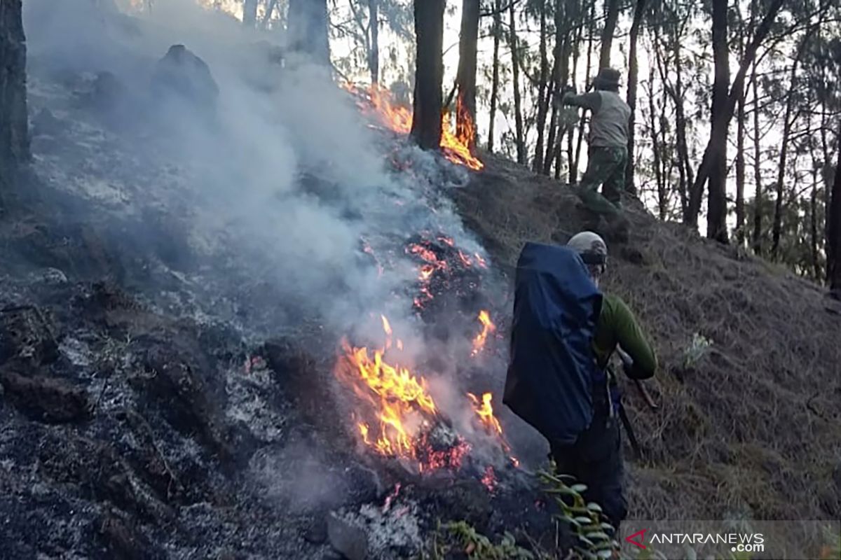 Area terdampak kebakaran hutan Gunung Arjuno seluasi 3.000 hektare