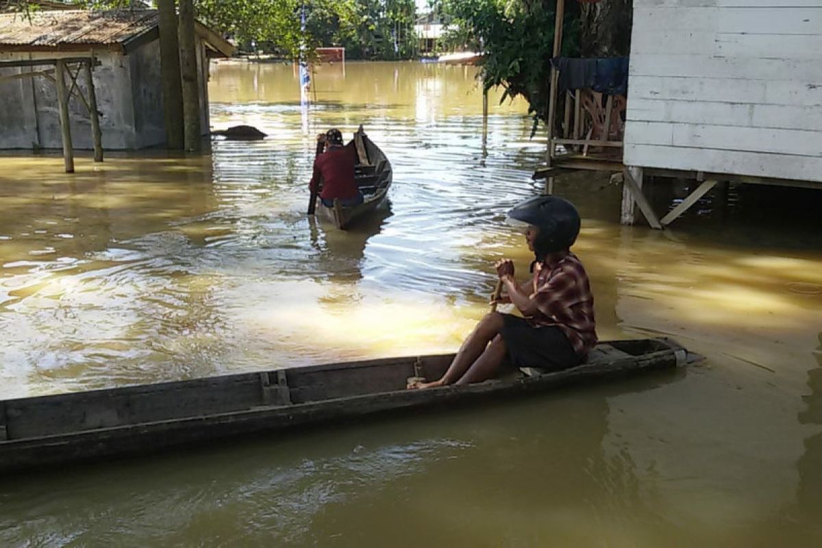 Banjir rendam 12 desa di Aceh Tamiang