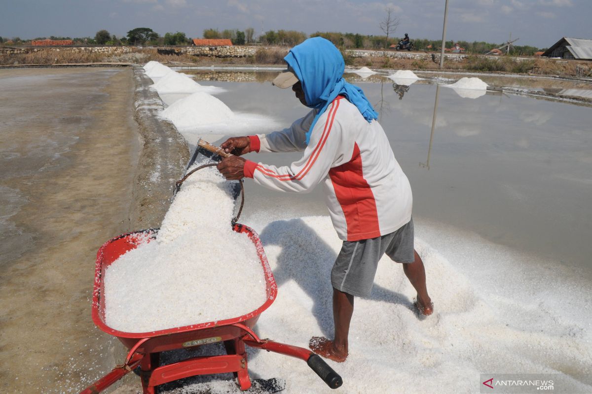 Presiden izinkan impor langsung garam industri untuk bahan baku