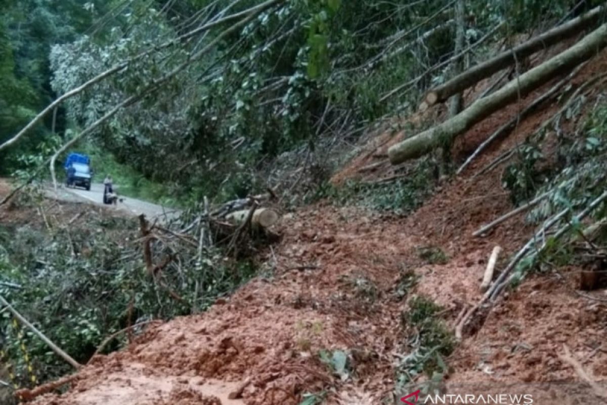 Tebing gunung Longsor  di jalur Aceh Barat - Pidie lumpuhkan transportasi
