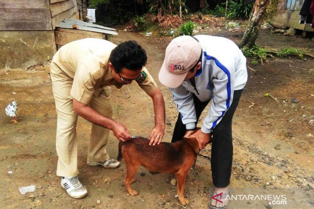 Pasca kasus gigitan, Pemkab Tapsel vaksinasi anjing peliharaan masyarakat