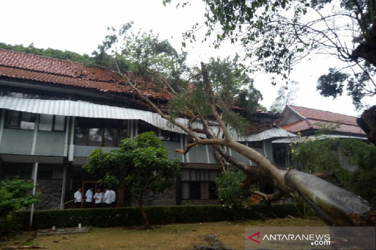 Kantor Wabup Garut tertimpa pohon tua tumbang