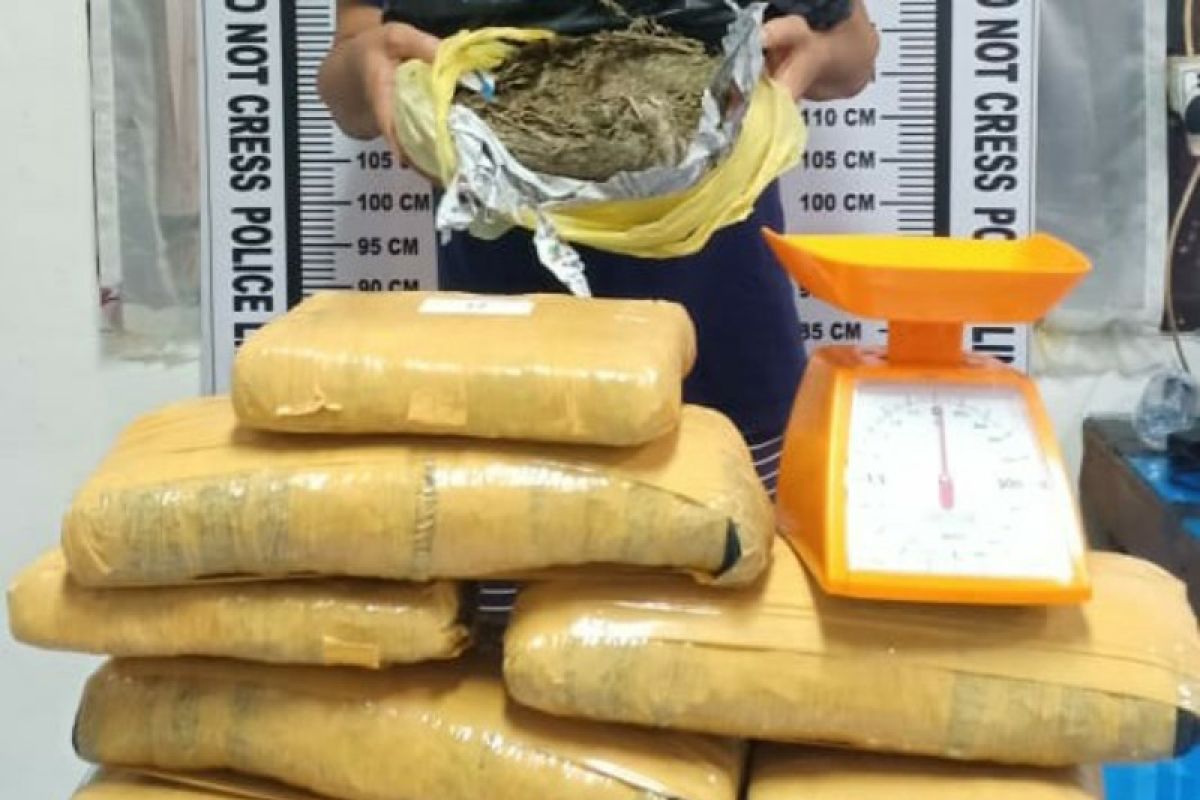 Polisi amankan tersangka dan 14,8 Kg ganja