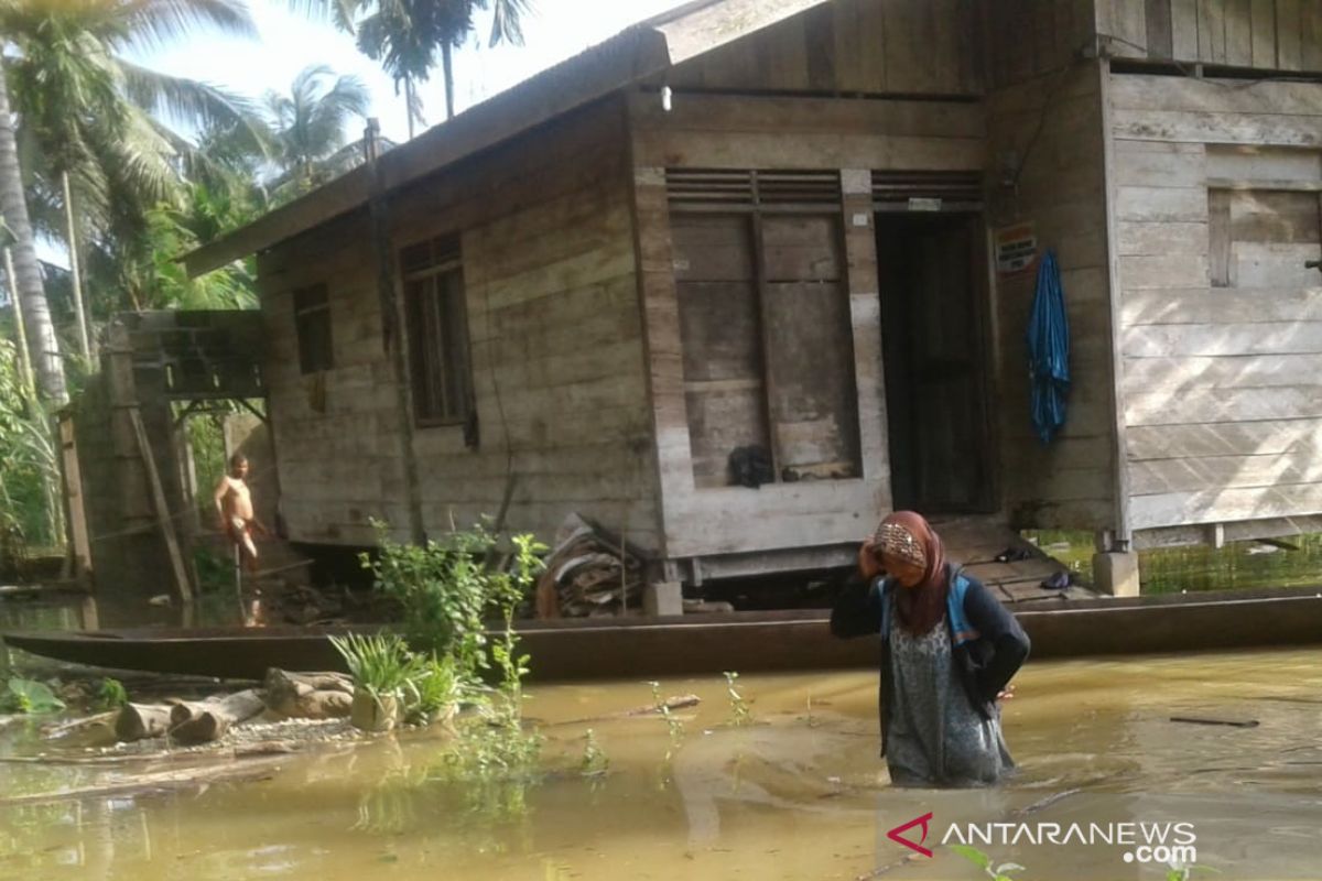 Banjir Daerah Aliran Sungai Tamiang meluas hingga landa 20 desa