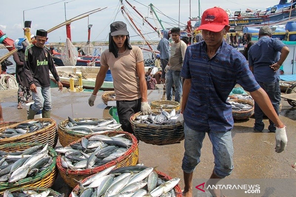 Pengetahuan masyarakat rendah tentang nilai gizi dan protein pada ikan